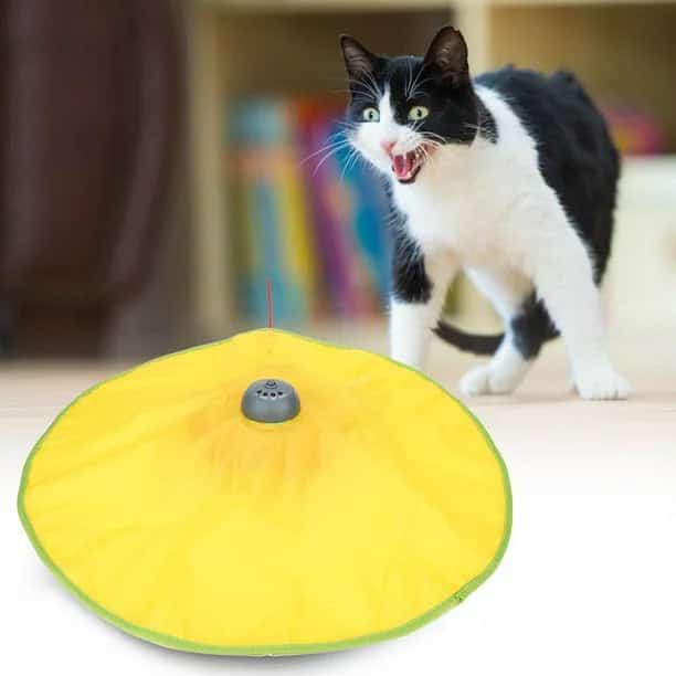 Juguete tapete para Gato