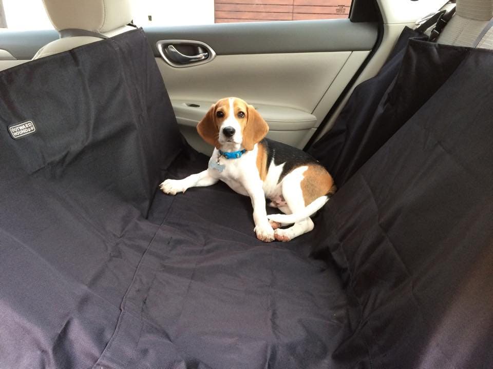 Protector de Asientos del Carro para Mascotas