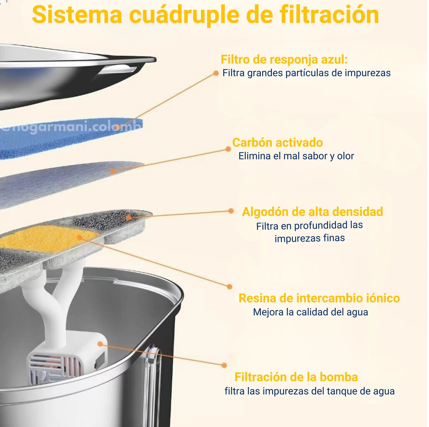 Set Premium 2 en 1: Comedero o Bebedero de Acero Inoxidable