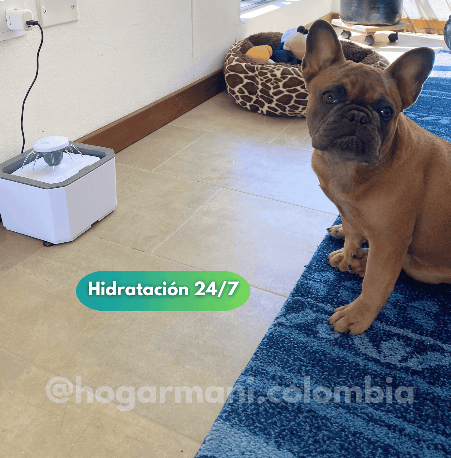Bebedero Automático para Gatos y Perros