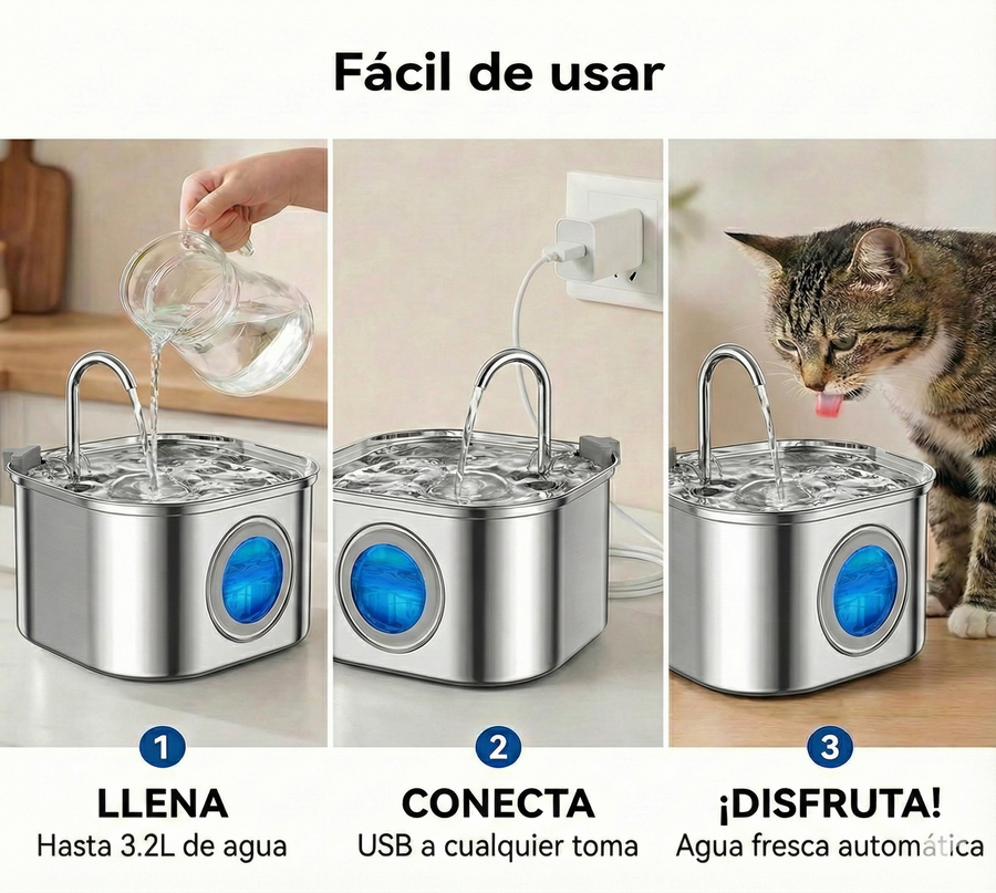 Llena, conecta y disfruta