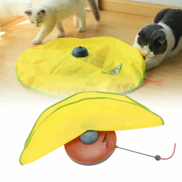 Juguete tapete para Gato