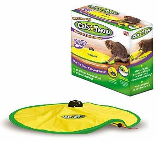 Juguete tapete para Gato