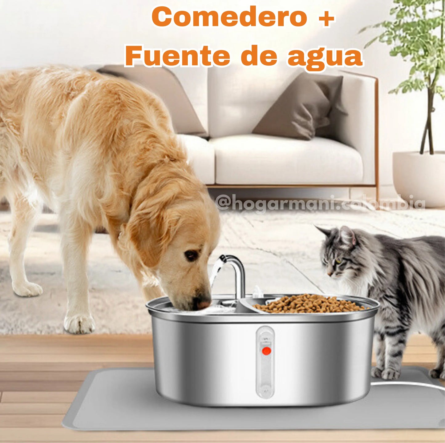 Set Premium 2 en 1: Comedero o Bebedero de Acero Inoxidable!