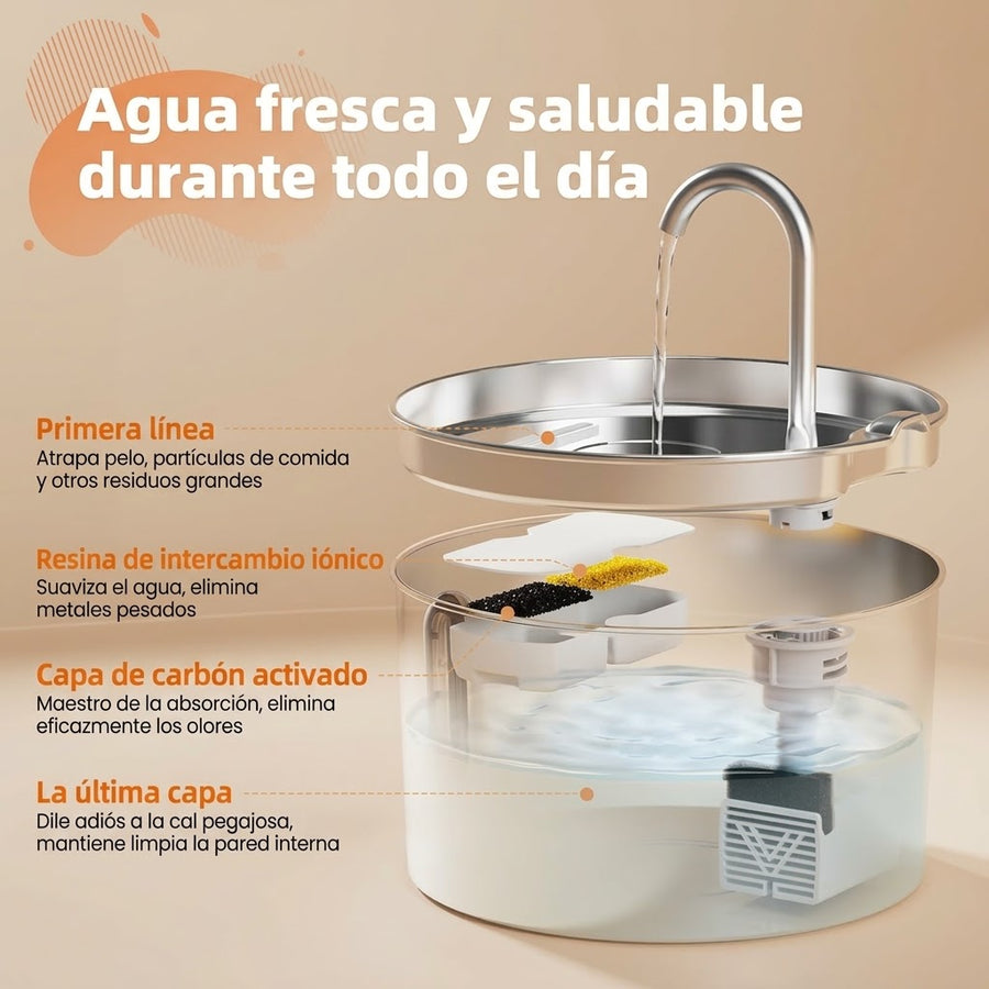 Todo lo que llega en la caja