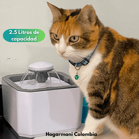 Bebedero Fuente De Agua Para Gatos Y Perros