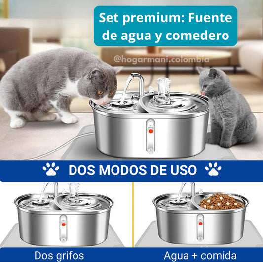 Set Premium 2 en 1: Comedero o Bebedero de Acero Inoxidable!