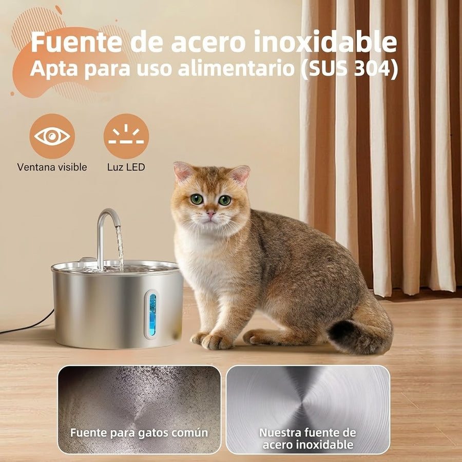Todo lo que llega en la caja
